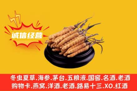 郴州永兴县回收冬虫夏草